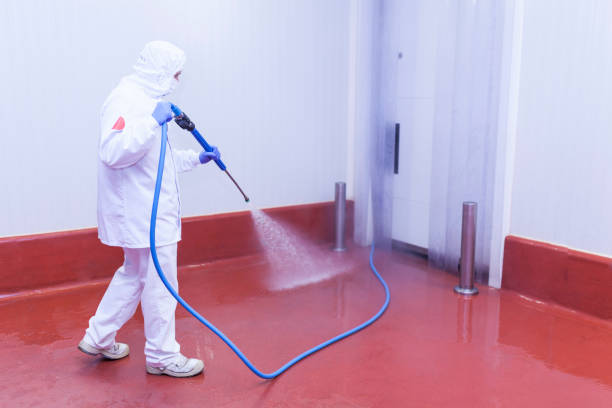 Best Restaurant Pressure Washing  in Bemidji, MN
