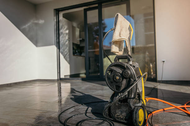 Best Roof Washing  in Bemidji, MN