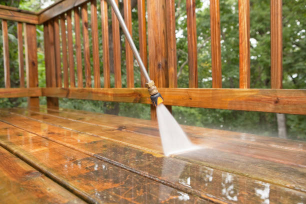 Best Sidewalk and Walkway Cleaning  in Bemidji, MN