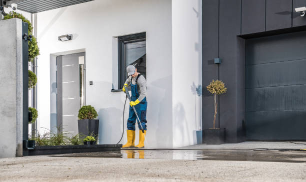 Best Gutter Cleaning  in Bemidji, MN