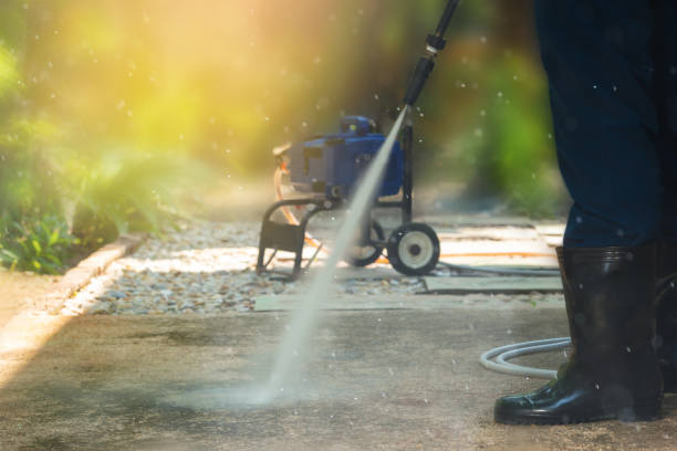 Best Graffiti Removal  in Bemidji, MN